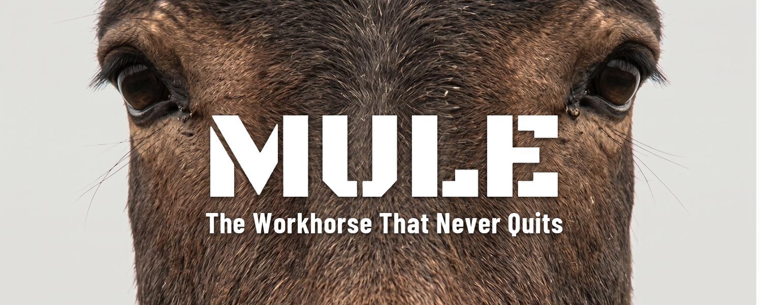 A mule photographed head-on, staring directly into the camera, with the MULE wordmark and the line ‘The Workhorse That Never Quits’ set across the image.